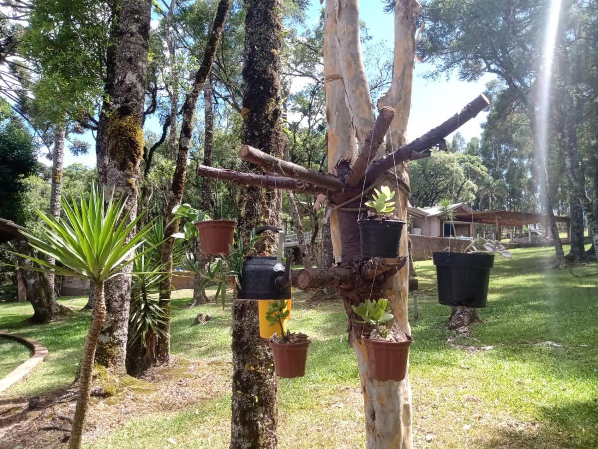 Quartos Recanto Da Natureza Interior Canela Exterior photo